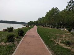 -丁香湖公园
