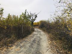 -西拉沐沦大峡谷园区