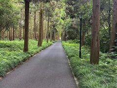 -上海怡沁园度假酒店