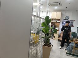 -韩国丽安形象设计