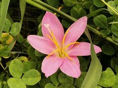 -贵州省植物园