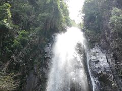 -姑婆山旅游区