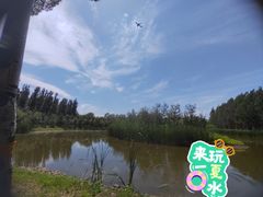 -东郊湿地公园
