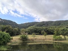 -普陀山风景名胜区-千步大沙