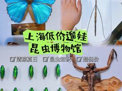 -上海昆虫博物馆