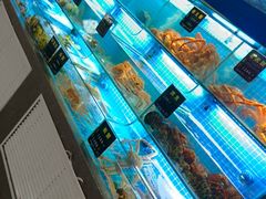 -鸽子侯·家宴·平价海鲜(市图书馆店)