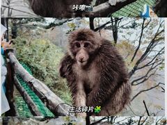 -峨眉山风景名胜区