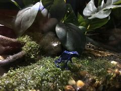 -暹罗海洋世界