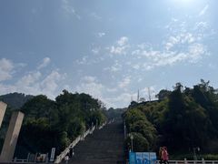 -铁山坪森林公园