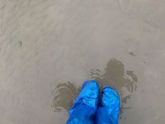 -奉贤海滩