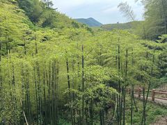 -藏龙百瀑风景区