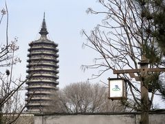 -西海子公园