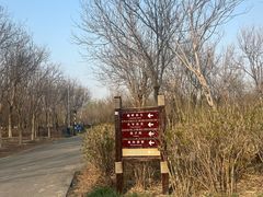 -西青郊野公园