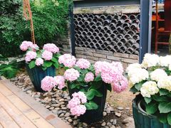 -凤来栖·净庭院·火锅(欧尚店)