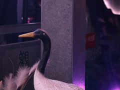 大堂-韵秋荷(宝山龙湖天街店)