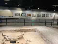 -洛阳周王城天子驾六博物馆