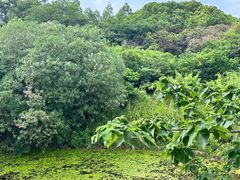 -上海华凯华美达广场酒店