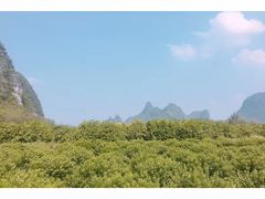 -荔江湾景区
