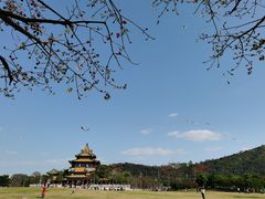 -顺峰山公园