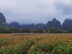 -明仕田园