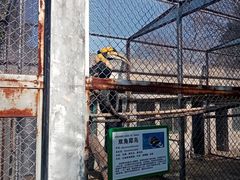 -合肥野生动物园