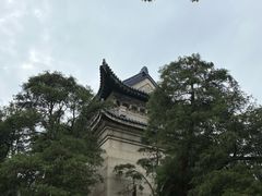 -牛New寿喜烧(金茂览秀城店)