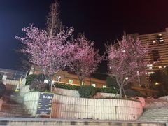 -五丁桥光头香辣蟹(望江橡树林店)