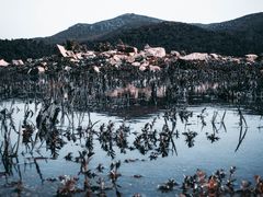 -大姆山草场