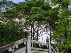 -粤晖园