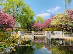-石家庄市植物园