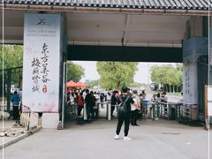 -上海海湾国家森林公园