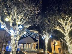 -太阳岛度假酒店