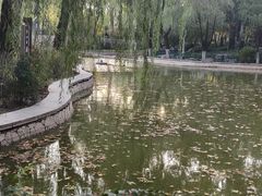 -西安市长乐公园