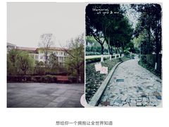 -都江堰中华大熊猫苑