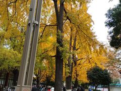 -四川大学(华西校区)