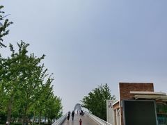 -大兴滨河森林公园