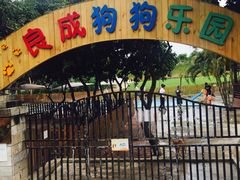 -良成狗狗乐园