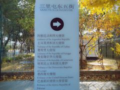 -三里屯东五街银杏大道