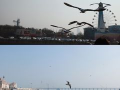 -大连圣亚海洋世界