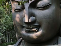 -杭州植物园