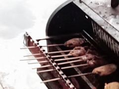 -北京上庄水库尚野露天户外自助烧烤