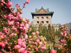 -居庸关长城