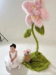 -雅尼·亚米儿童摄影美学馆(汉阳店)
