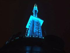 -339旋转餐厅(天府熊猫塔店)