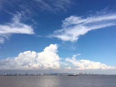 -大湾区中央湿地公园