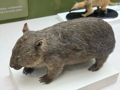 -国家自然博物馆