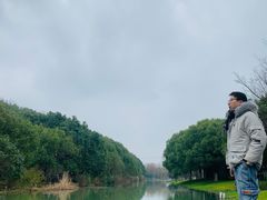 -昆山城市生态森林公园