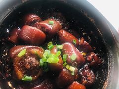 -阿龙酒煲(海宁新苑路店)