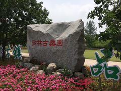 -御林古桑园