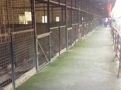 -观澜山水田园